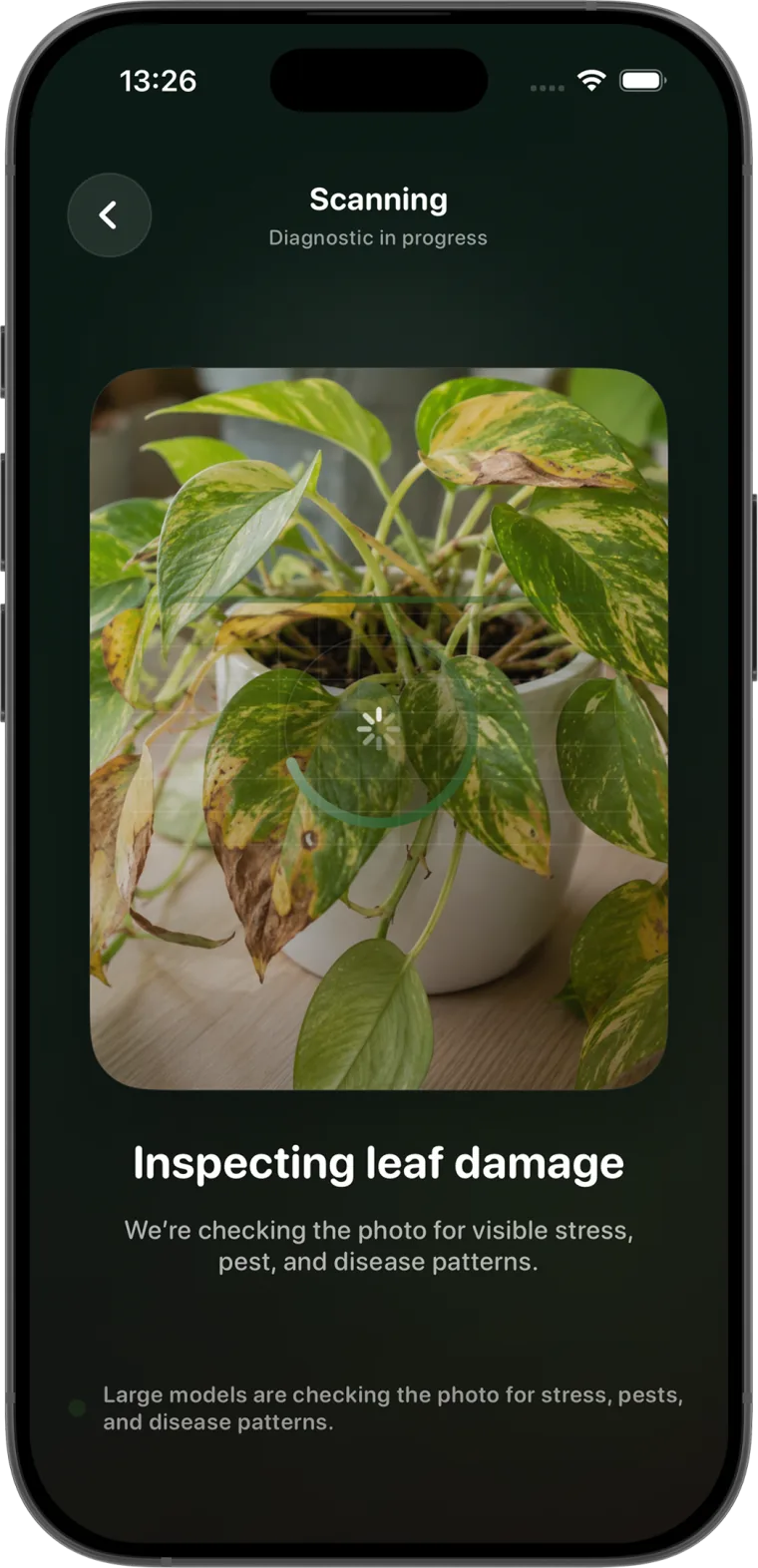 Plant diagnosis in progress